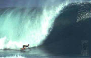 www.surfnewsnetwork.com